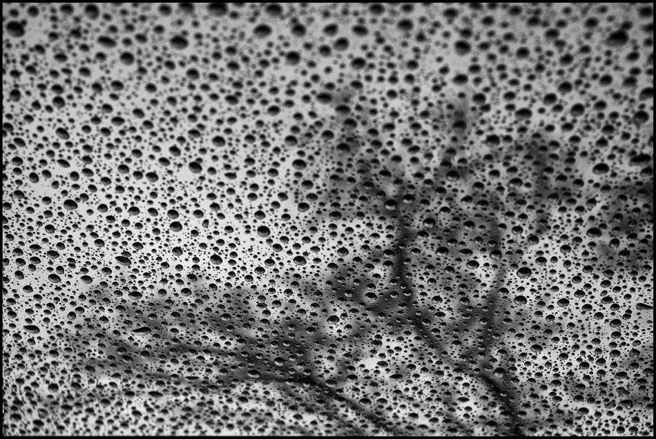 , Дмитрий Заковоротный