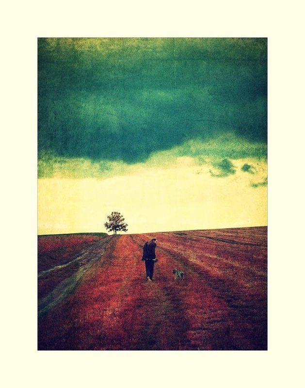 The Tree фото превью