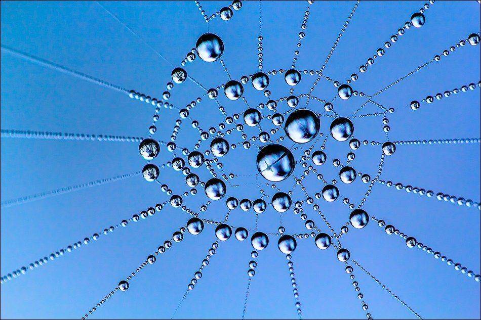 , Бурлов Андрей