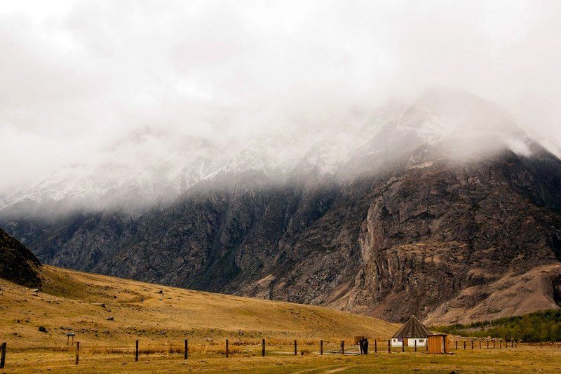 Под белым пледом фото превью