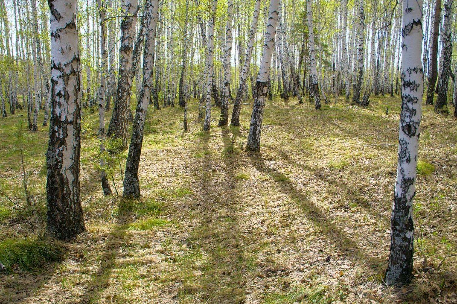 , Николай Морский