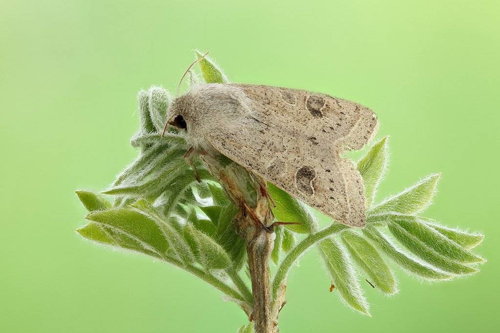 , Сергей Таланов