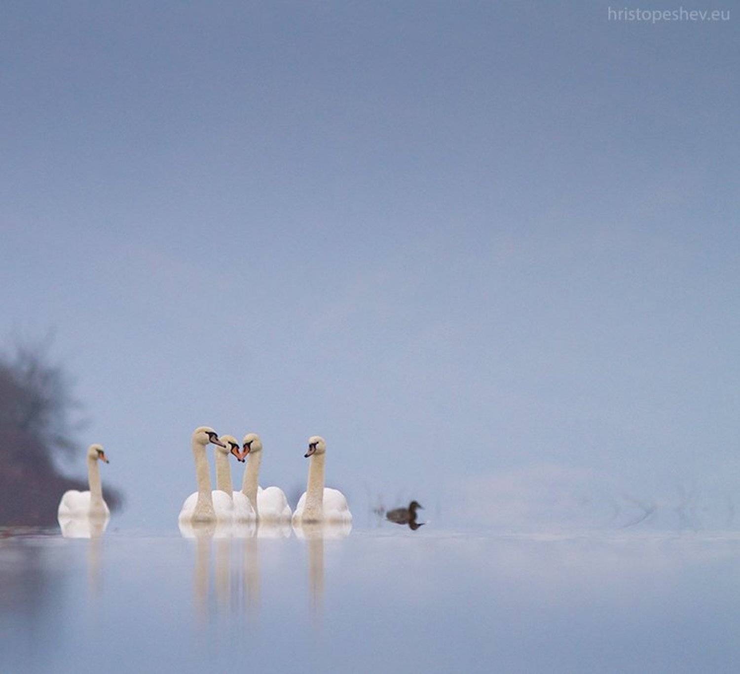 , Христо Пешев