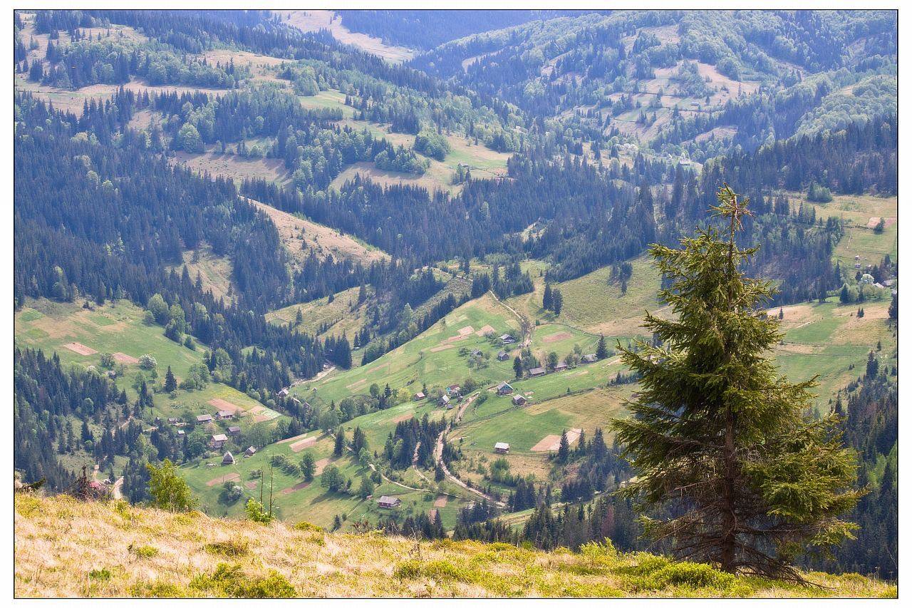 , Кізима Андрій