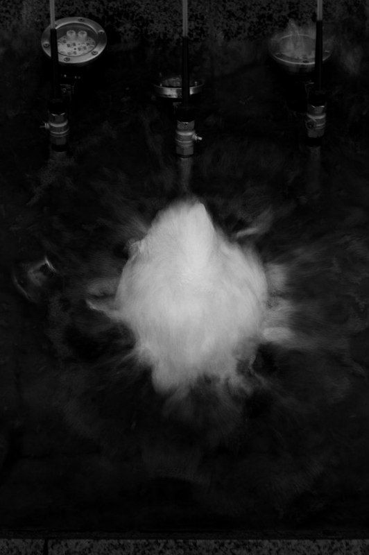 Душа фото превью