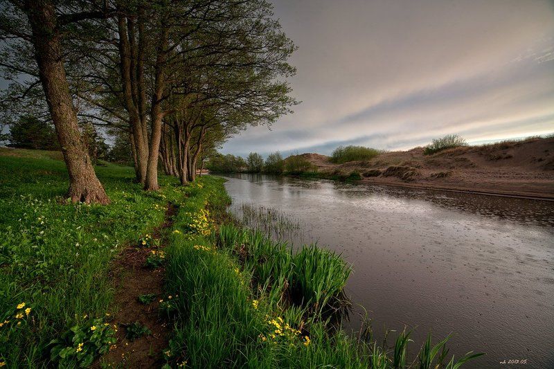 дождь фото превью