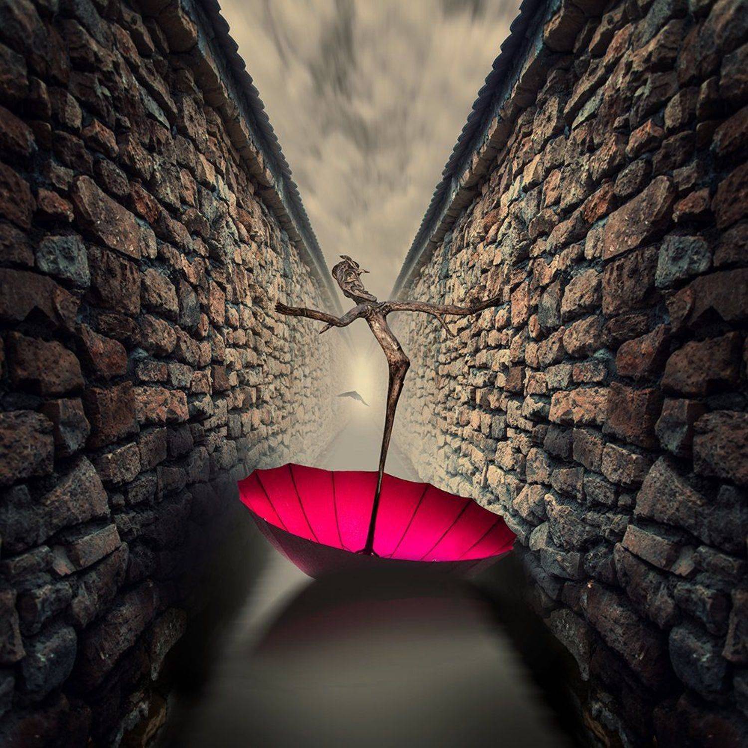 Stuck in motion. Автор: Caras Ionut , Caras Ionut