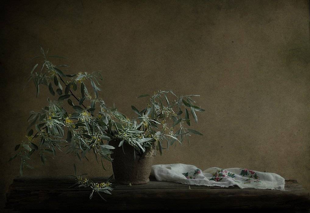 , Петрова Татьяна