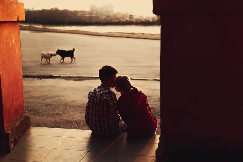 Двое, Любовь, Собаки  фото превью