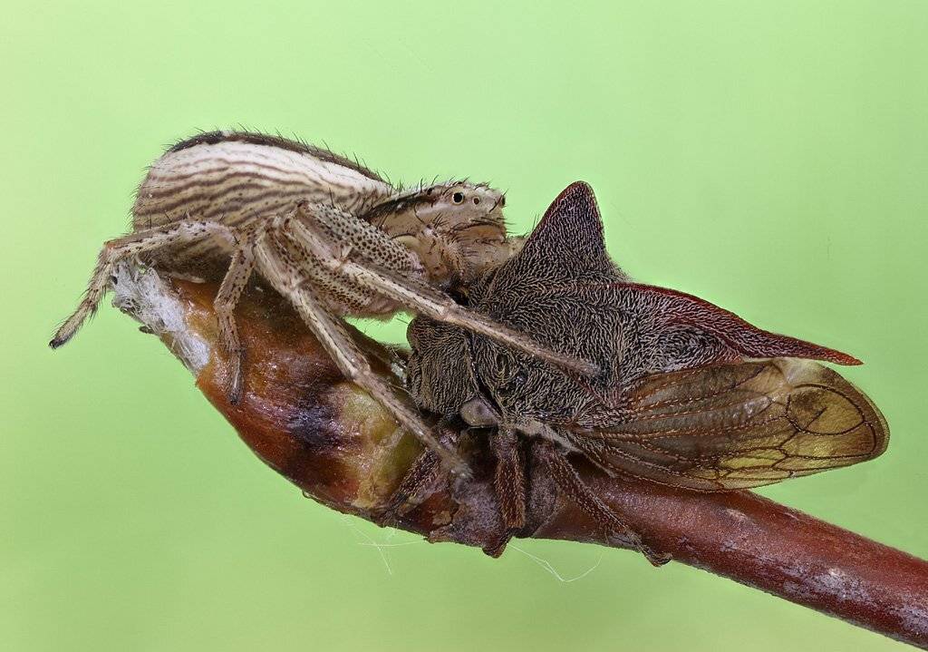 , Сергей Таланов