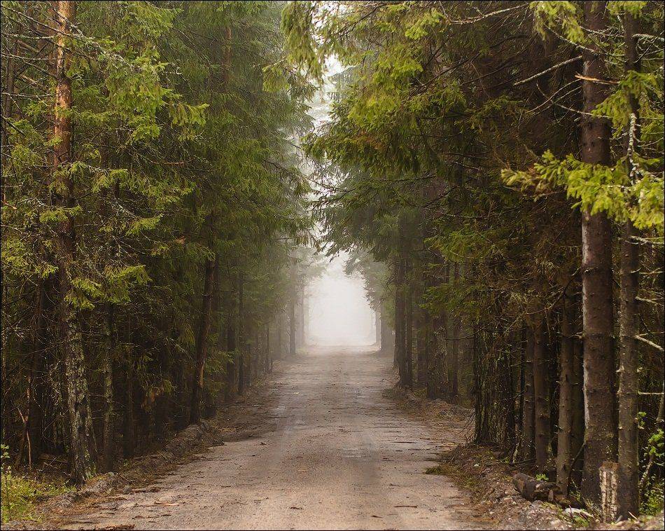 , Бурлов Андрей