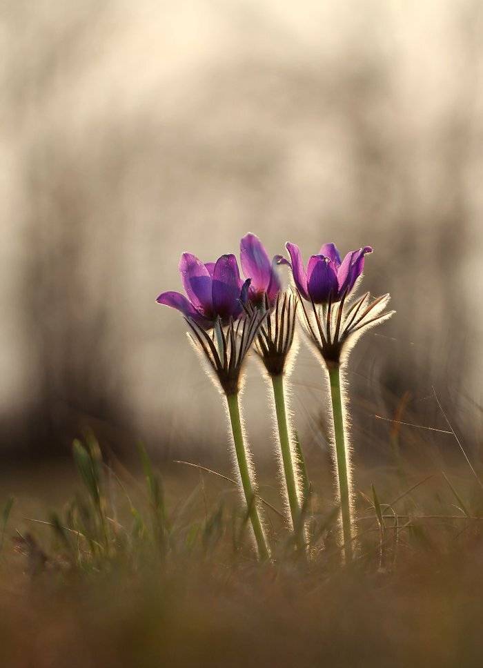 , Иваненко Светлана