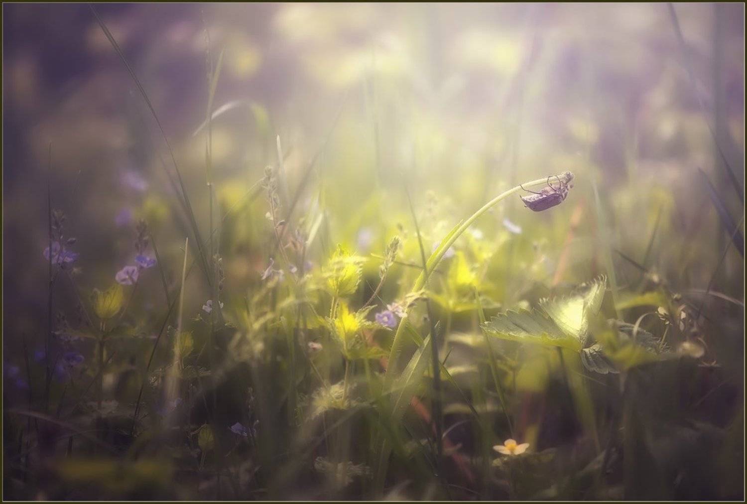 , Евгений Кирилкин.