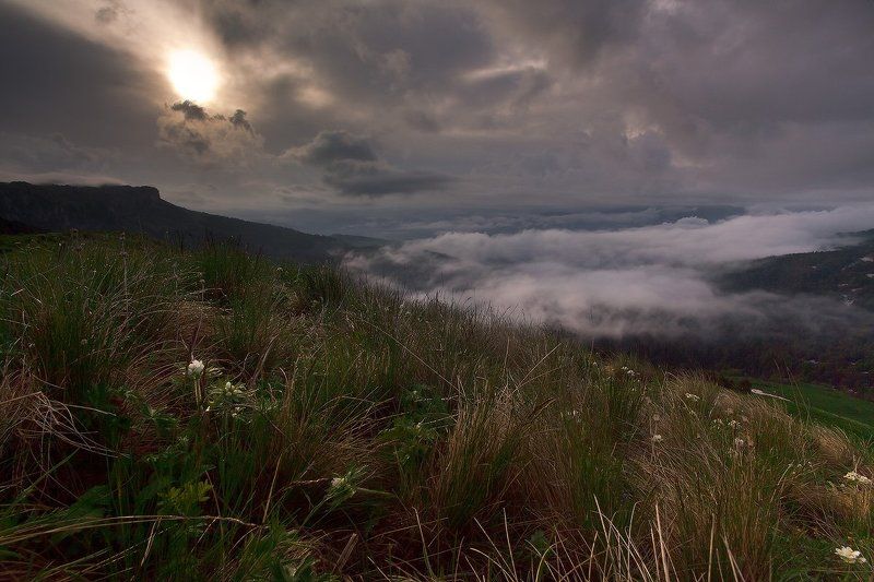 Утро туманное фото превью