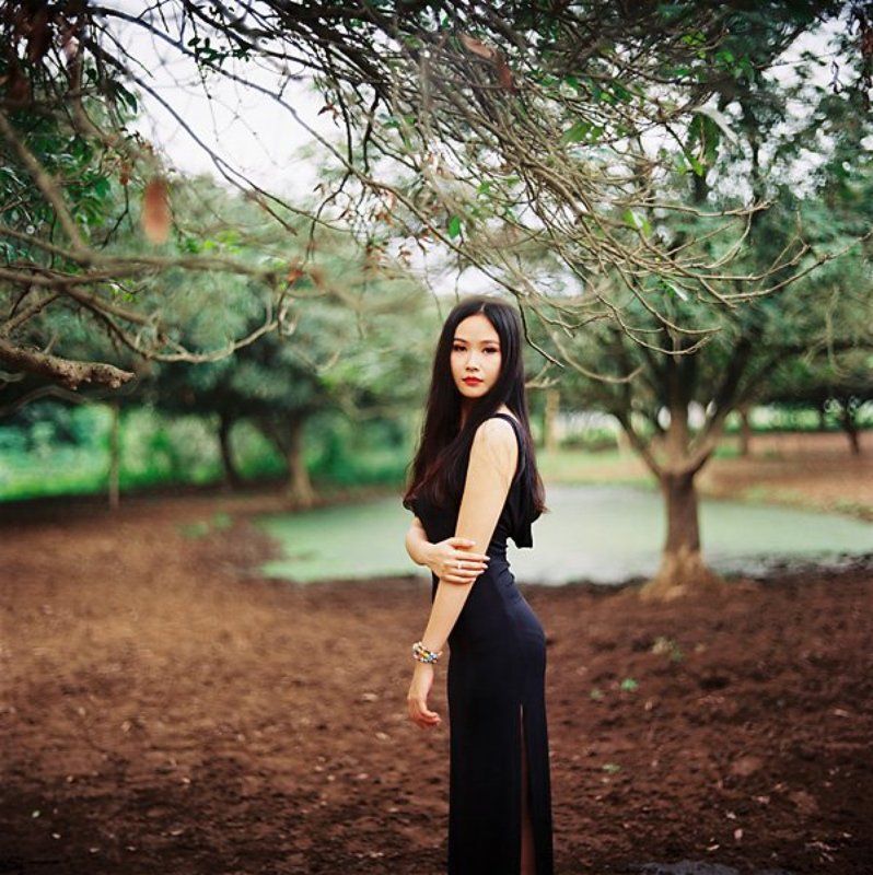 bring me sunshine фото превью