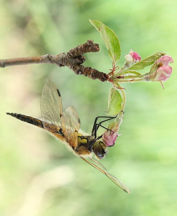 , Сергей Таланов