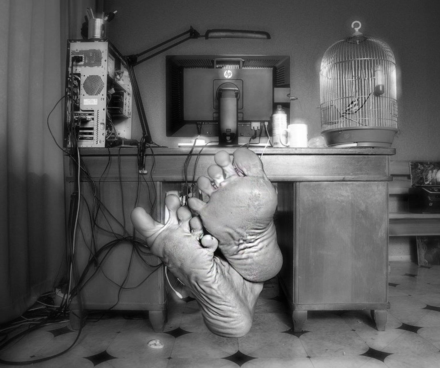 freelancer, Михаил Псарёв