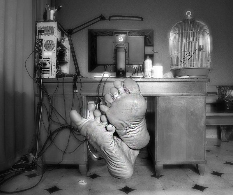 freelancer freelancer фото превью