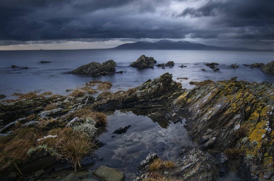 , Emilis Baltrusaitis