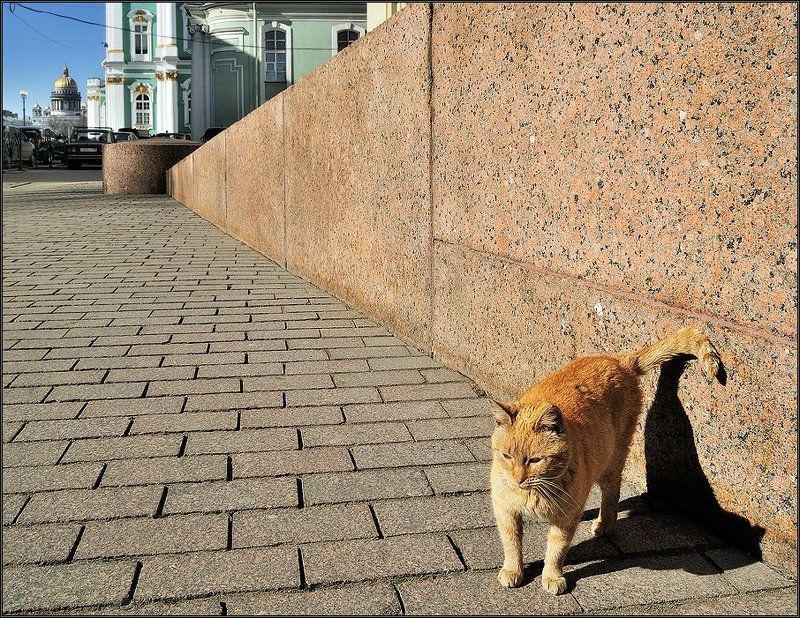 Главный архитектор фото превью