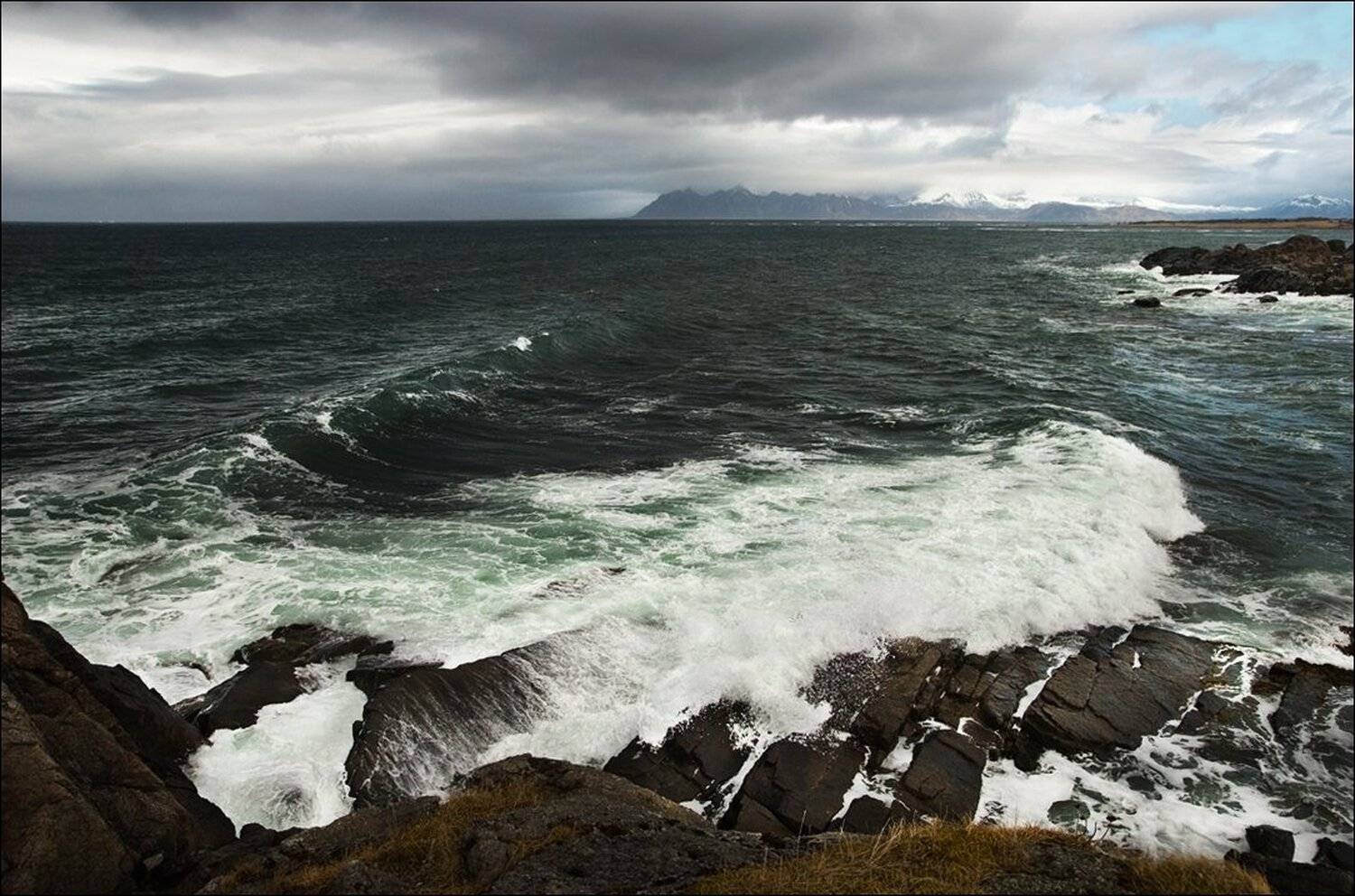 , Крицак Ольга