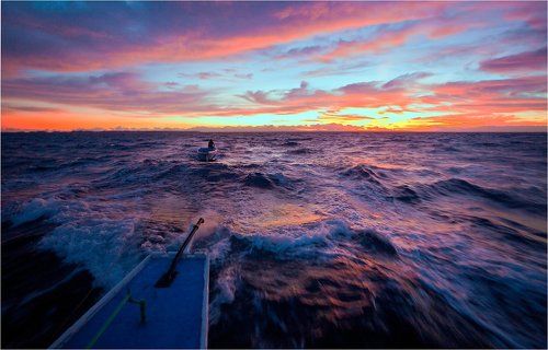 тревожный рассвет