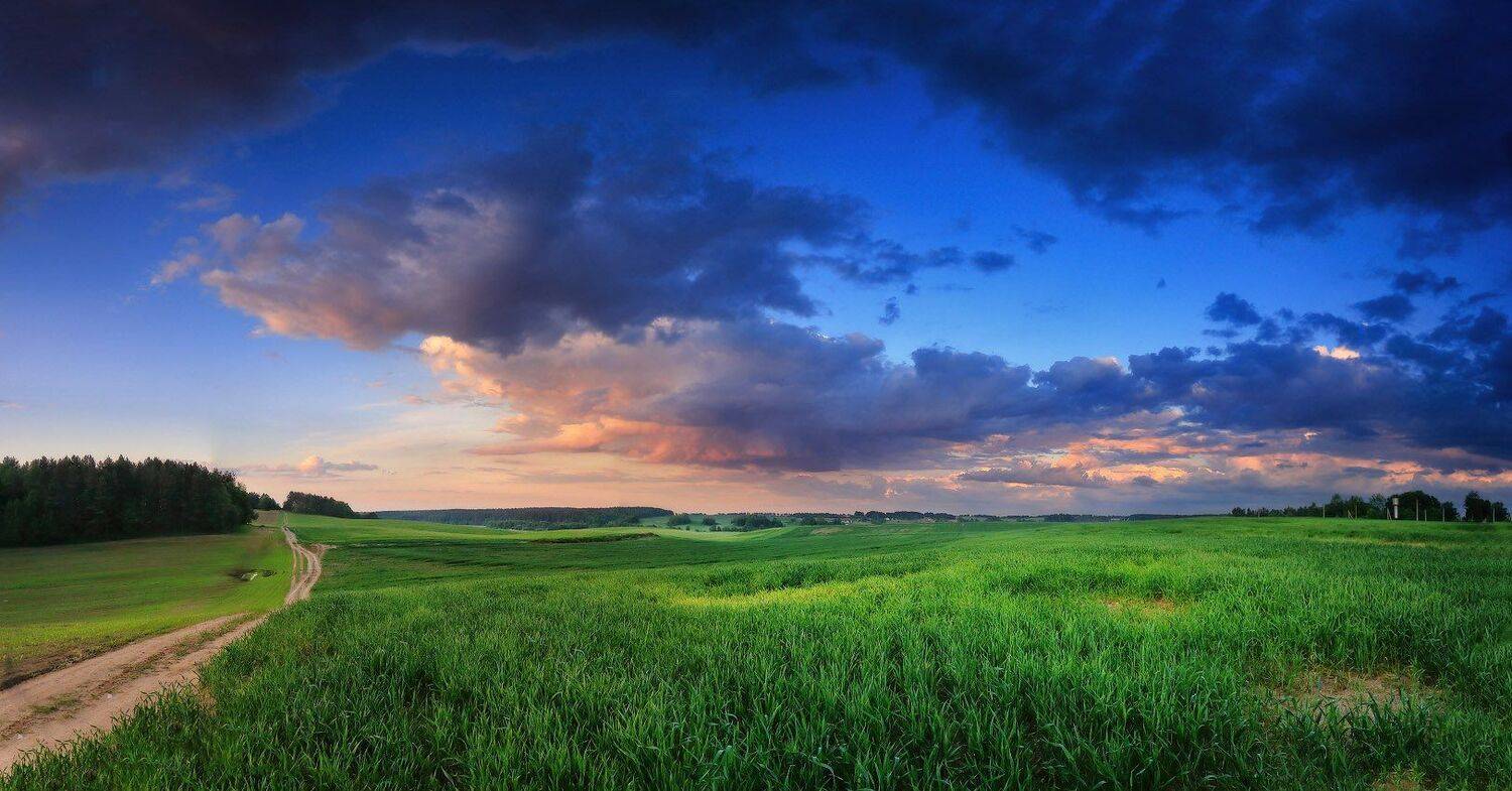 , Вейзе Максим