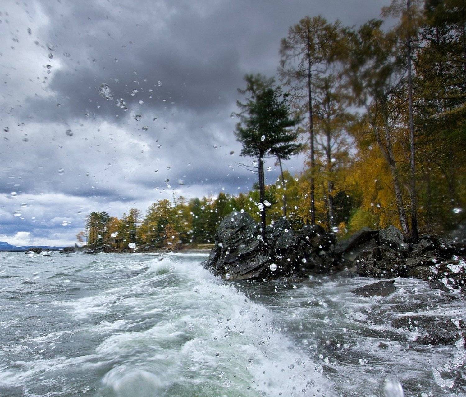 , Алексей Трофимов