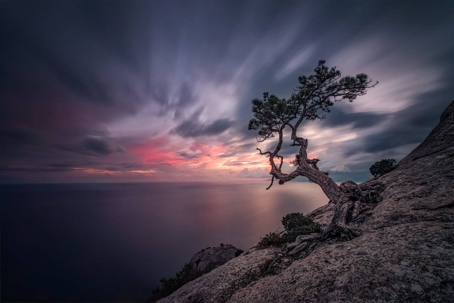 , Елена Ермолина