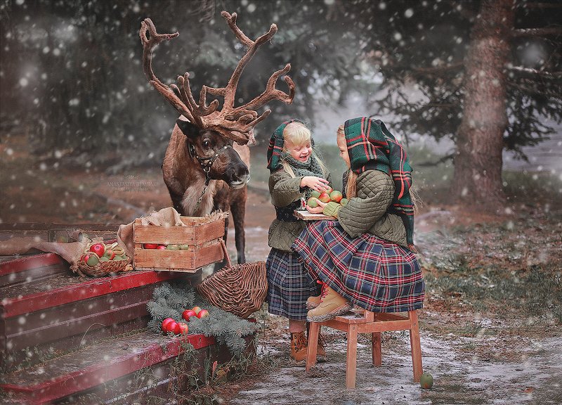 Гномы фото превью