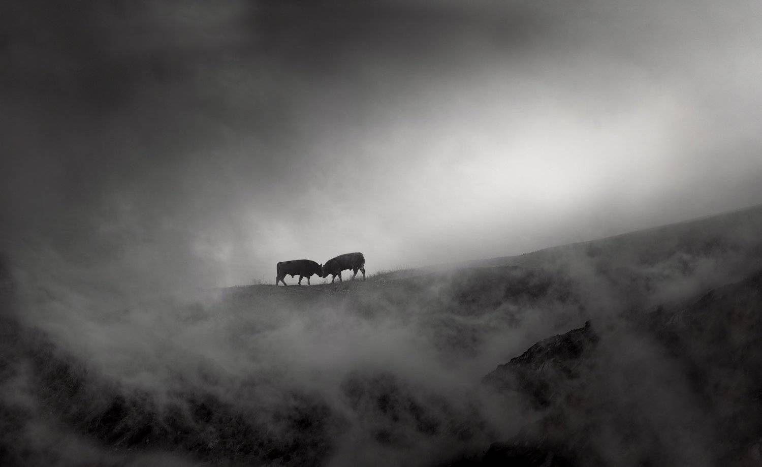 , Тодор Танев