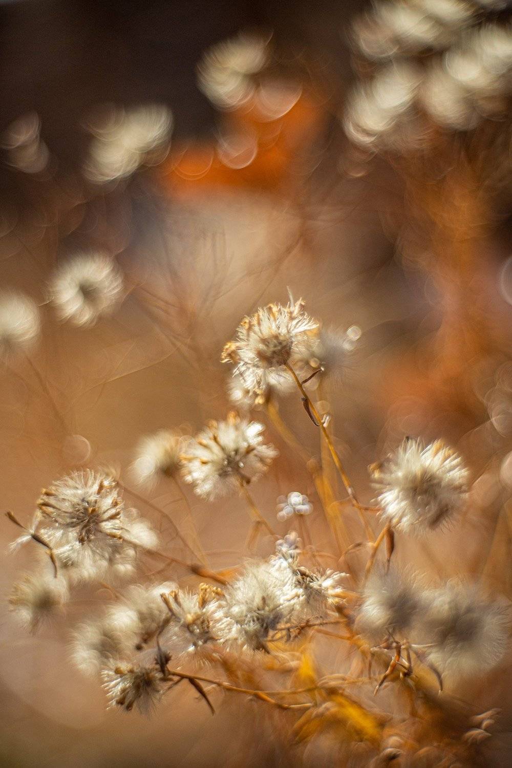 башкирия, южный урал орск новотроицк, Качурин Алексей