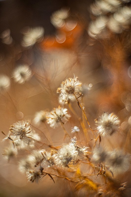башкирия, южный урал орск новотроицк Сухая Осень! фото превью