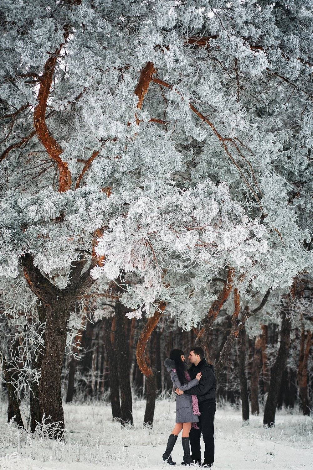 , Алексей Гуляев