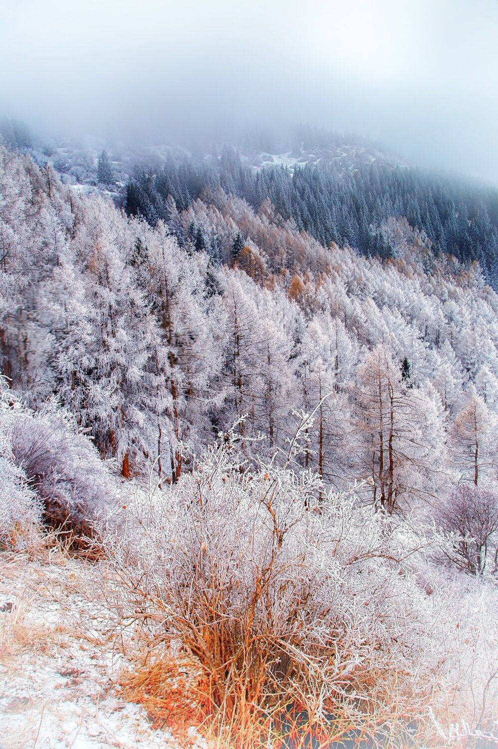 кыргызстан, горы, Элина Магалимова