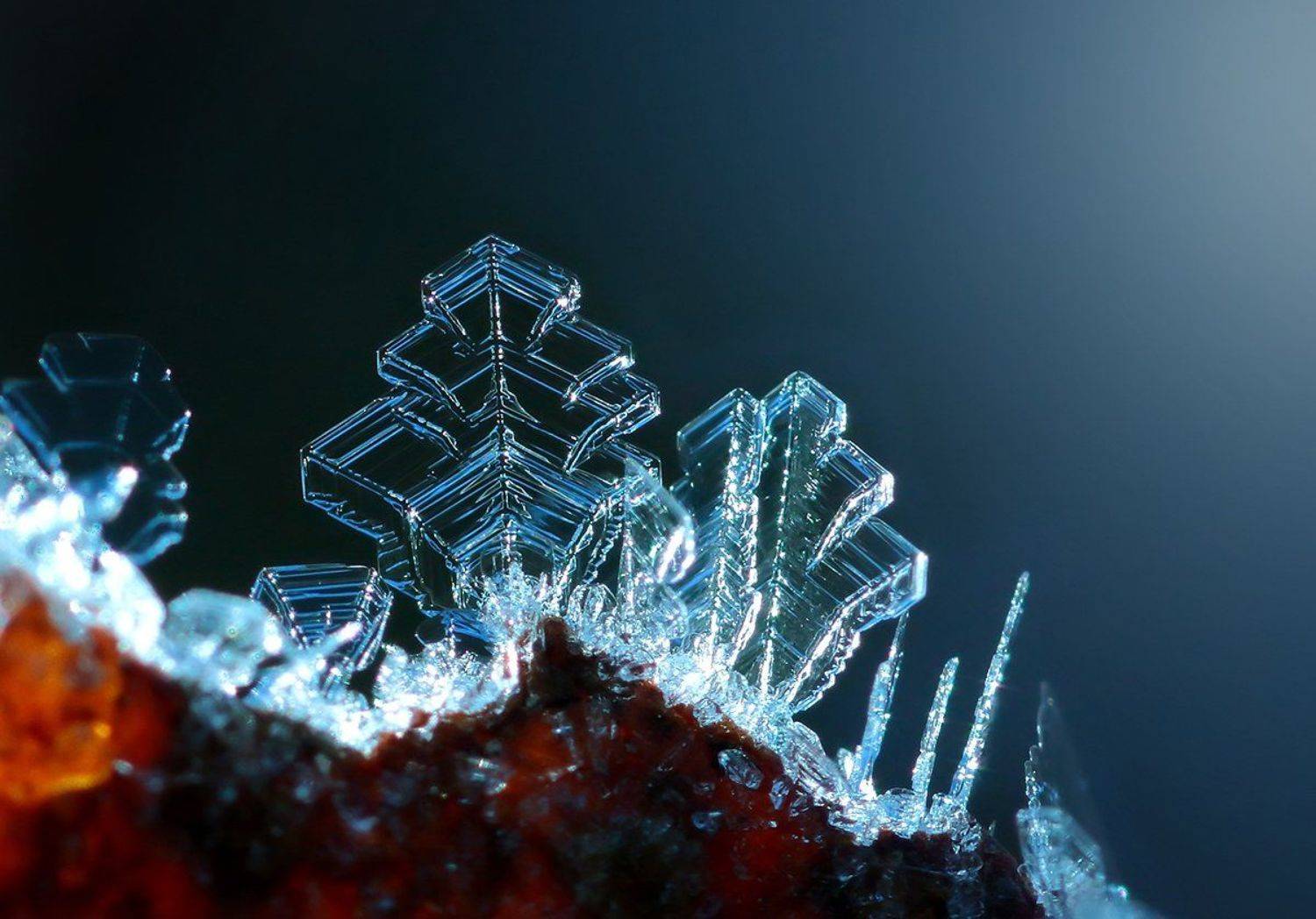 , Галина Горькавая