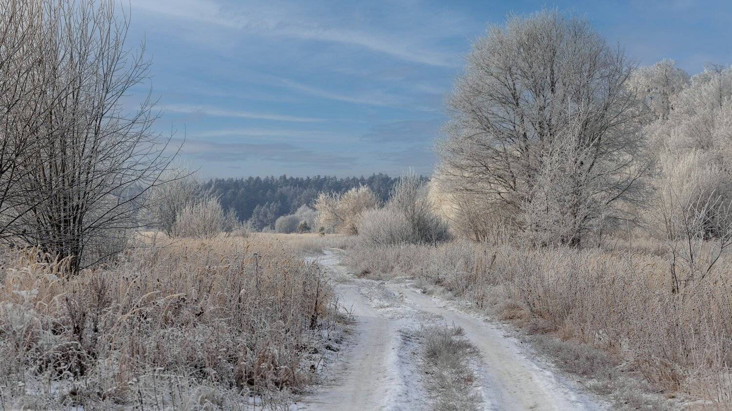 , Марат Кучкаев