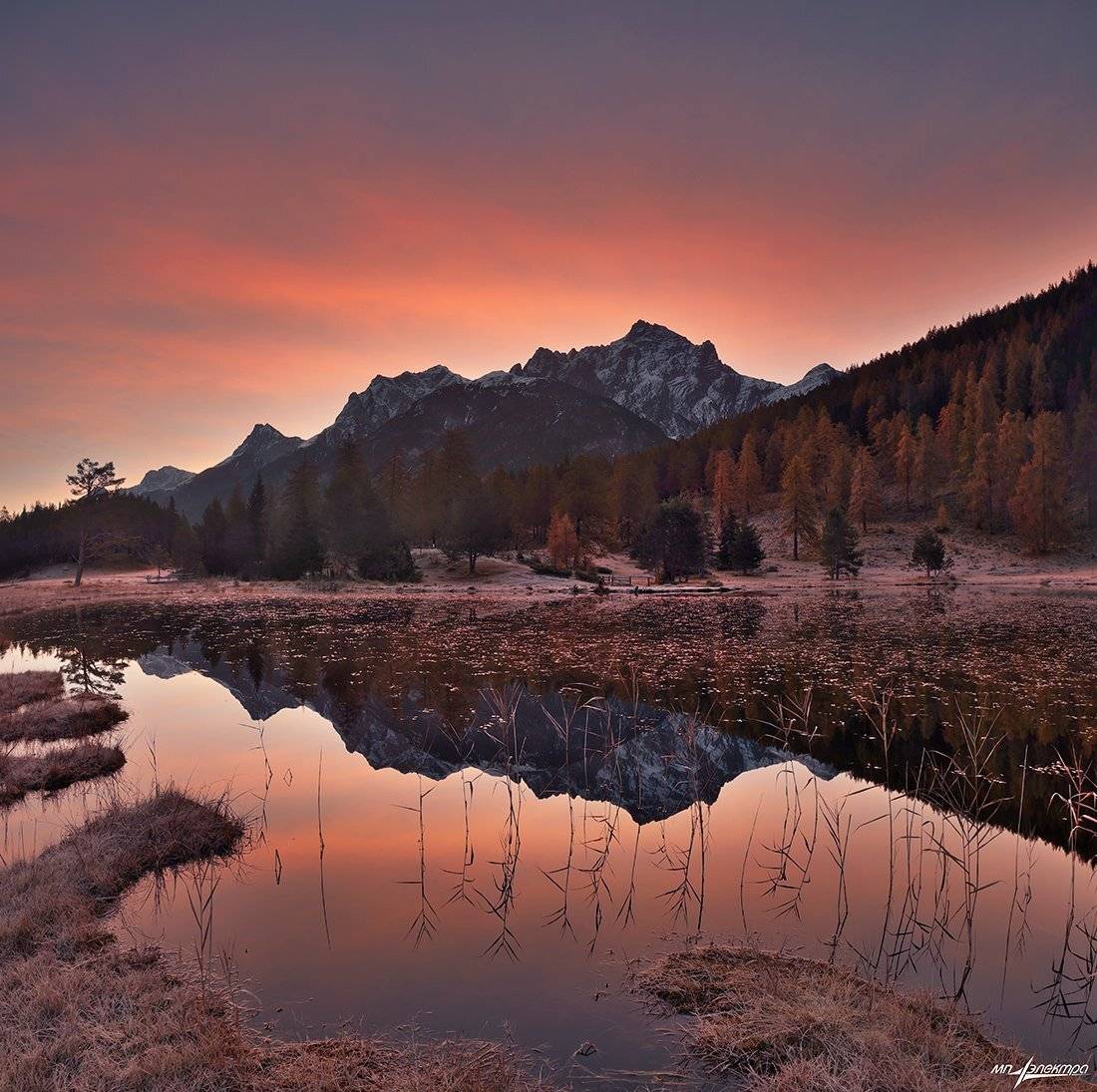 swiss, Матвеев Николай