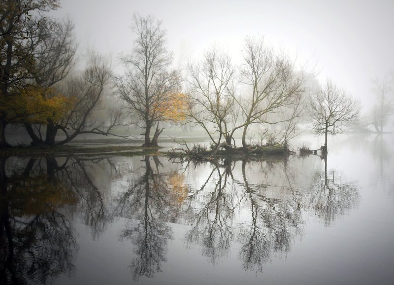 ... фото превью