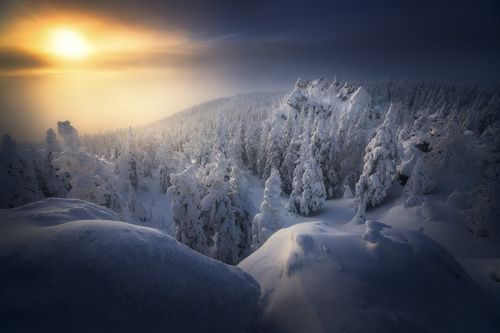 Озаренная светом