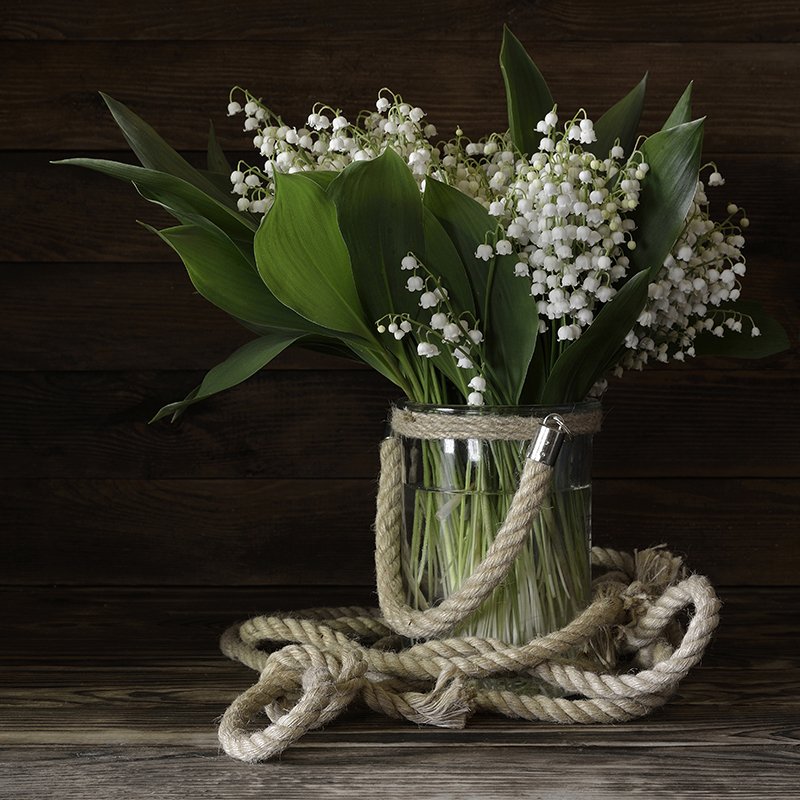 Лесные ландыши. фото превью