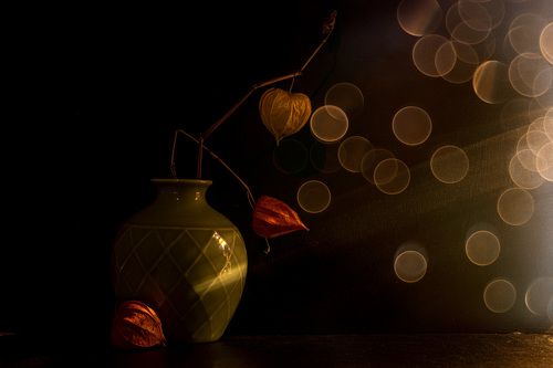 autumn expression