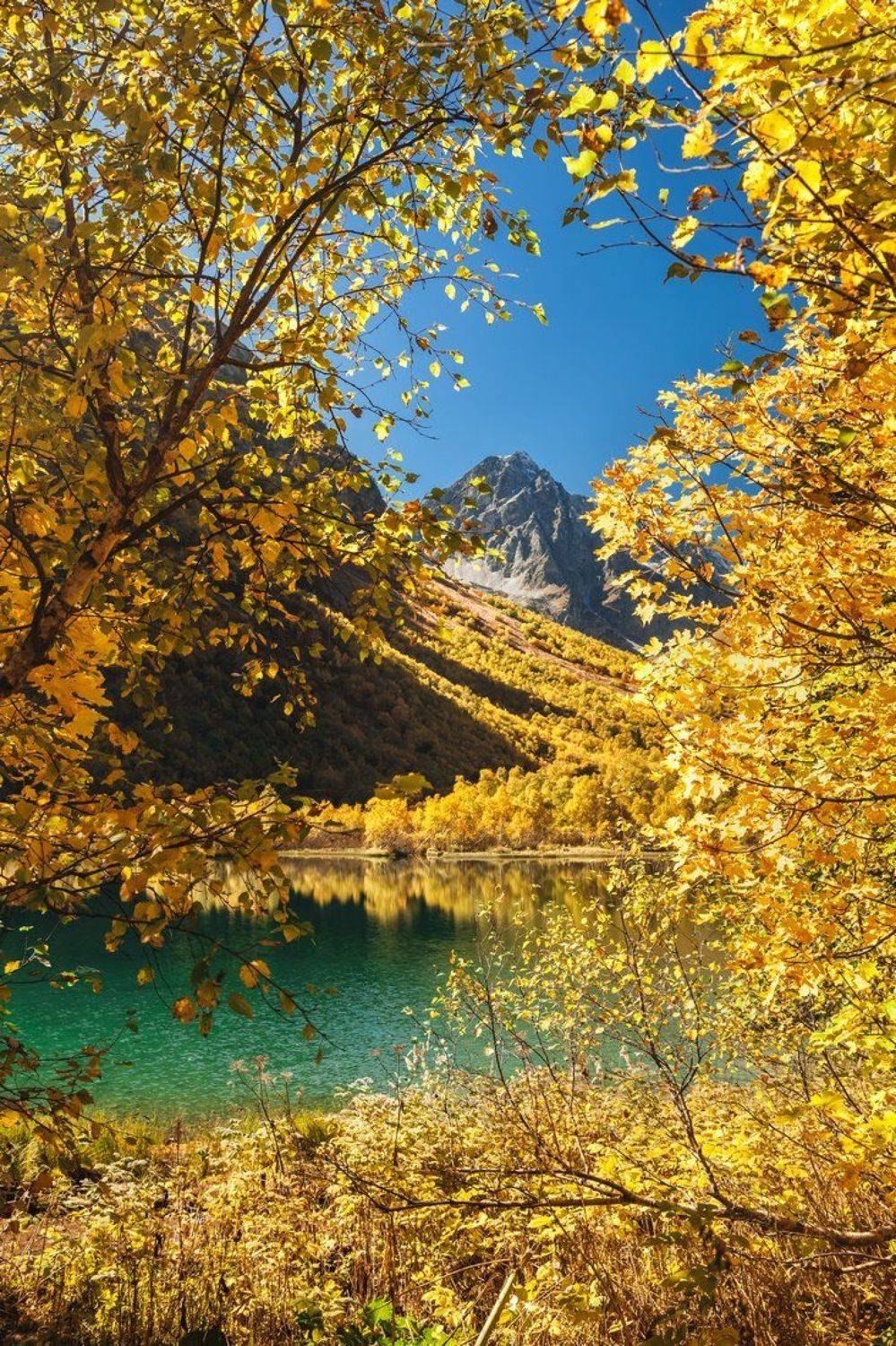 , Элина Хван