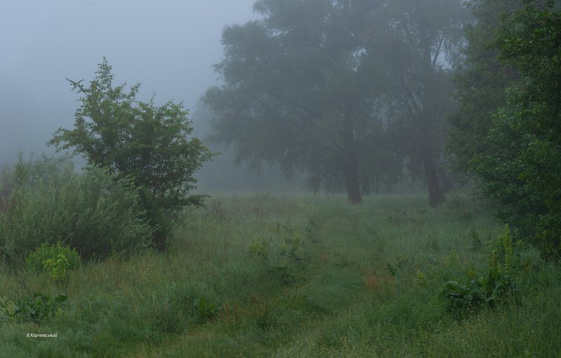 Где трав цветущих запах пряный.... фото превью