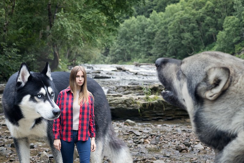 #husky #dog #girl #waterfall По мотивам фильма \