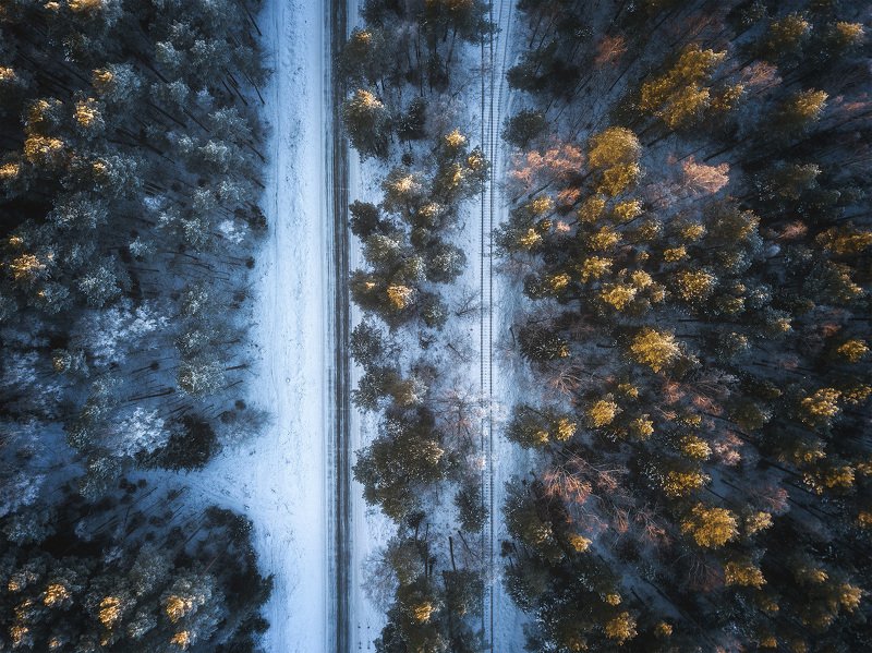 пермский край, зима, осень, пейзаж, россия, урал, графика, дорога, лес, снег Два пути фото превью