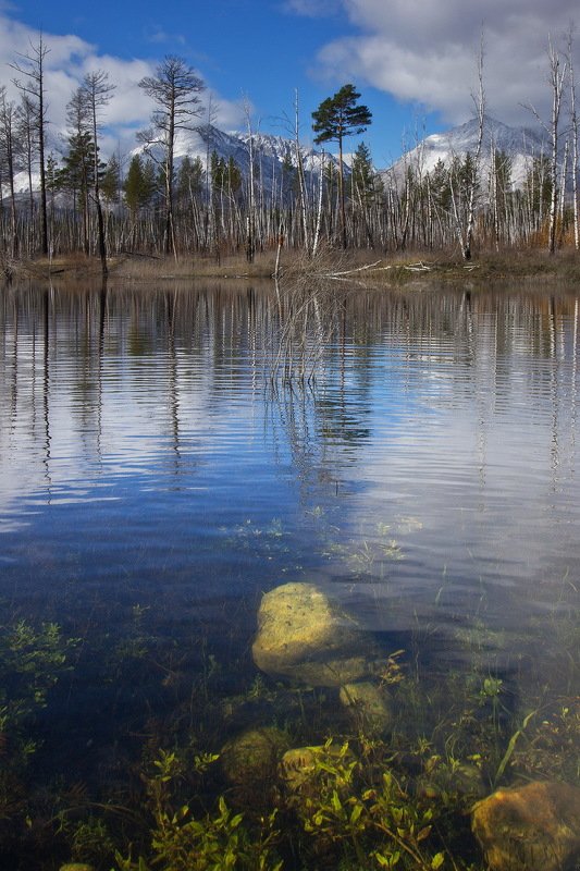 Баргузинская долина фото превью