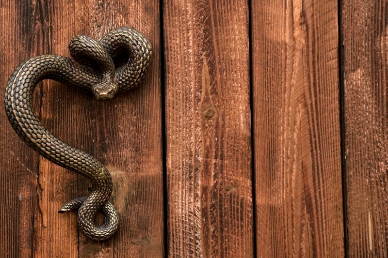 Слизерин фото превью