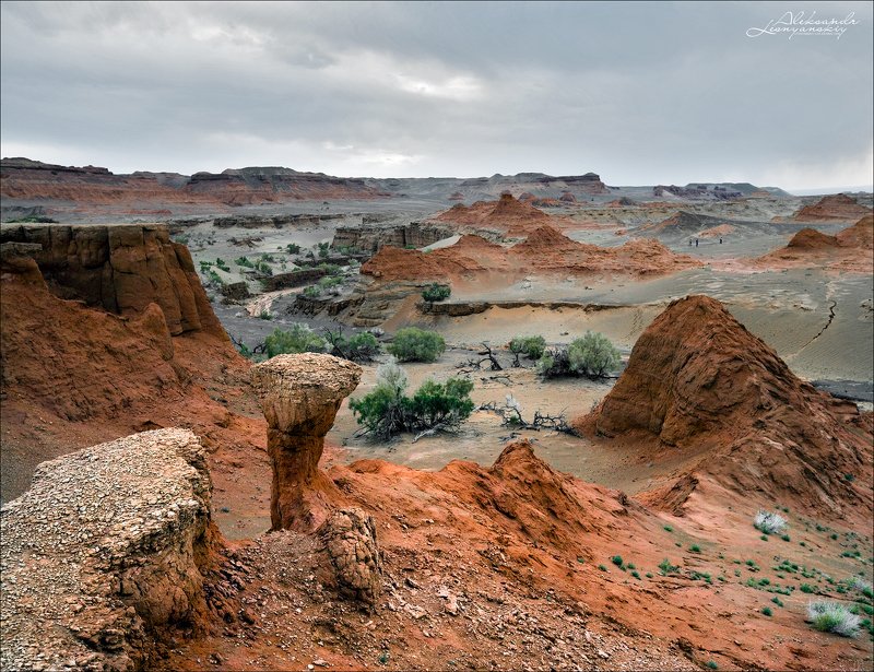 Пустыня Гоби. Каньон Хэрмэн-Цав фото превью
