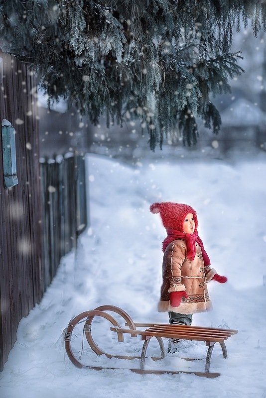 зима, снег, мороз, санки  фото превью